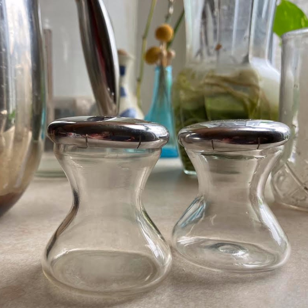Salt and Pepper Shakers (rare vintage)